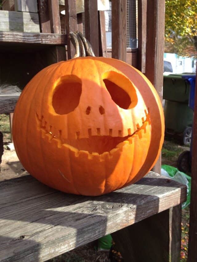 42 CREATIVE & FUN HALLOWEEN PUMPKIN CARVING IDEAS - Stylin by Sarita