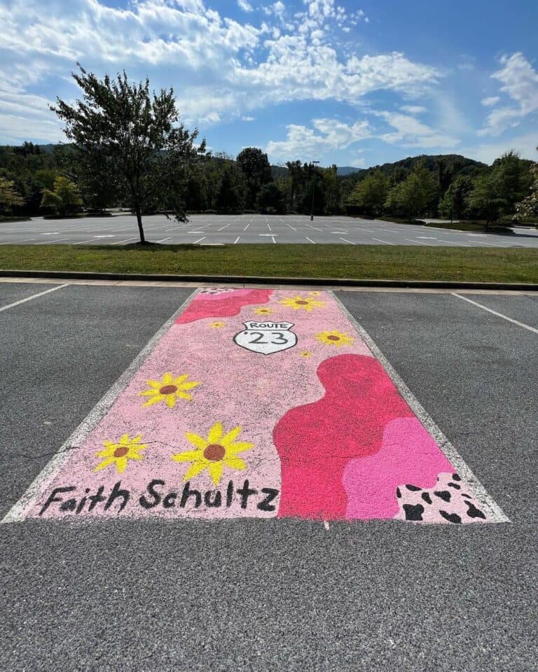 33 INSANELY CUTE SENIOR PARKING SPACES - Stylin by Sarita