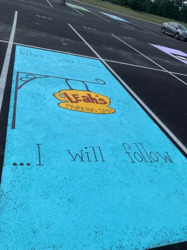 33 INSANELY CUTE SENIOR PARKING SPACES - Stylin by Sarita