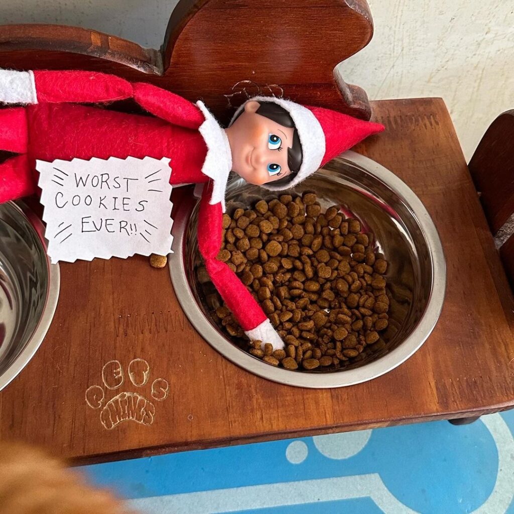 Looking for the absolute best elf on the shelf ideas to recreate this Christmas? I've gathered 98 insanely easy and funny elf on the shelf ideas that make you laugh uncontrollably!