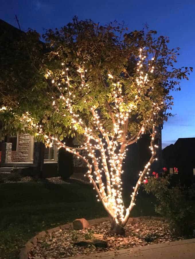 outdoor DIY Christmas light ideas