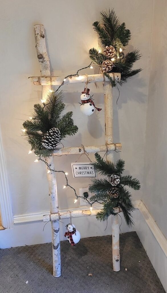 Christmas ladders ideas