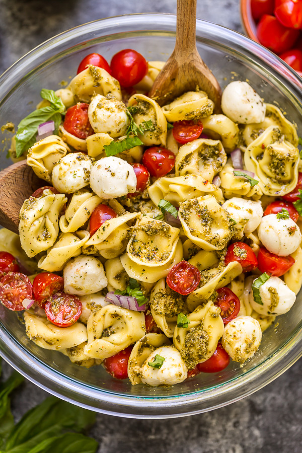 PASTA SALAD RECIPES